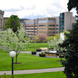 Summer internships: OHSU Department of Surgery seeking high school students