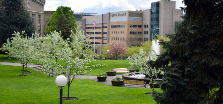 Summer internships: OHSU Department of Surgery seeking high school students