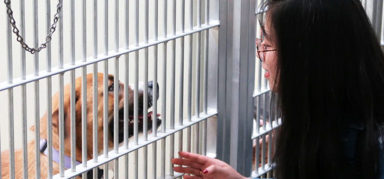 Oregon Humane Society Career Day