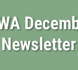 PWA December News: Looking back and moving forward